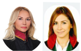 Av. F. Vildan Yirmibeşoğlu <br> Av. Almıla Öztürk <br> BELGELERLE CUMHURİYET ve KADIN <br> Türk toplum yapısının kökenlerine  tarihsel bir perspektiften